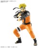 Uzumaki Naruto Entry Grade Bandai