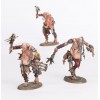Spearhead Hedonites of Slaanesh Citadel