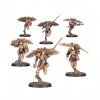 Legio Custodes Venatari Sodality Citadel