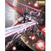 Force Impulse MG Bandai