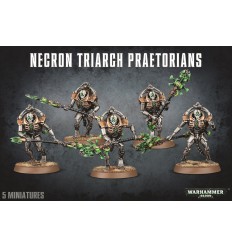 TRIARCH PRAETORIANS Citadel